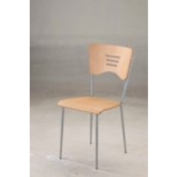 Dining Chair With Wooden Back